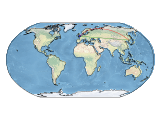 image_global_map