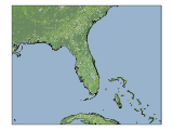 image_image_tiles